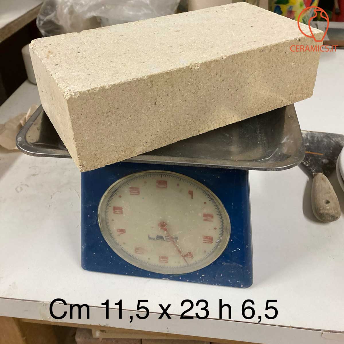 stampo-gesso-dalmata